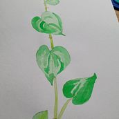 Aprendendo. Un projet de Beaux Arts de Luciana Dernovsek - 16.08.2020