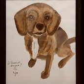 Proyecto: Mascota "Puka". Pintura em aquarela projeto de Noelia Hidalgo - 17.08.2020