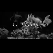 La Pecera Cortometraje - Cuarentena Film Festival. Film, Video, TV, and Video Editing project by David Maguilla Garcia - 05.17.2020