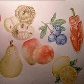Aprendiendo a Ilustrar Frutas. Un proyecto de Ilustración tradicional de Natalia Chávez - 18.08.2020