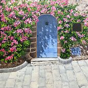 Door with Flowers. Un proyecto de Pintura acrílica de Catherine Dunn - 17.03.2014
