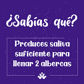 Mi Proyecto del curso: Animación exprés para redes sociales con After Effects. 2D Animation project by lozanografico_1 - 08.20.2020