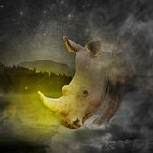 Nashorn. Photomontage project by cristian tapia - 08.21.2020
