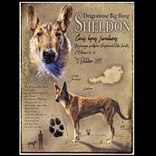 My project in Naturalist Animal Illustration with Procreate course. Digital Painting project by You Did Anzenberger - 08.22.2020