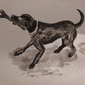 I enjoyed this course very much, it open my mind.. Drawing project by elula120 - 08.22.2020