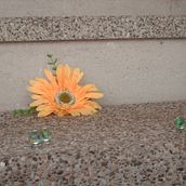 Amistad. Stop Motion project by Abigail Sanchez - 08.23.2020