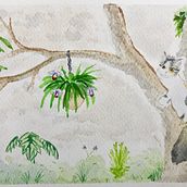 Mi Proyecto del curso: Ilustración en acuarela con influencia japonesa. Watercolor Painting project by Andrés Guzmán - 08.24.2020