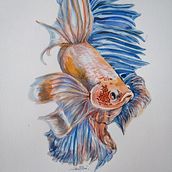 Mi Proyecto . Watercolor Painting project by jaimetoimil - 08.24.2020