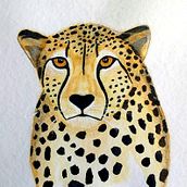 Guepardo como proyecto final del curso de acuarelas para principiantes. Un proyecto de Bellas Artes, Creatividad, Dibujo, Pintura y Pintura a la acuarela de Inma Tercero Guijarro - 24.08.2020