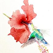 Mi Proyecto del curso: Ilustración naturalista de aves con acuarela . Fine Arts project by Erika Moncca Arauco - 10.11.2020