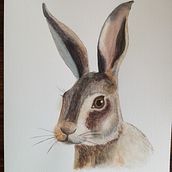 Mi Proyecto del curso: Técnicas experimentales de acuarela para principiantes . Un progetto di Disegno, Illustrazione tradizionale, Pittura e Pittura ad acquerello di Valeria Aguirre - 25.08.2020