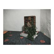 Mi Proyecto del curso: Diseño y creación de composiciones botánicas. Creativit project by Sebastián Olavarría - 08.28.2020