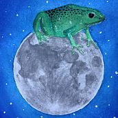 Rana cósmica. Un progetto di Illustrazione tradizionale e Pittura ad acquerello di Lucile Katze - 10.07.2019