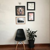Mi Proyecto del curso: Iniciación al enmarcado. Woodworking project by Sebastián Moreno Escobar - 08.28.2020
