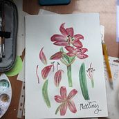 Mi Proyecto del curso: Ilustración botánica con acuarela. Un proyecto de Ilustración botánica y Pintura a la acuarela de Rodrigo Martinez-Lombardo - 29.08.2020