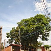 Meu projeto do curso: Introdução á fotografia digital. Gente que vejo por aí, um dia no meu bairro. Un proyecto de Fotografía digital de Daisy Silvino - 26.09.2020