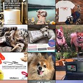 My project in Instagram Strategy for Business Growth course. Instagram Marketing project by Aysha O’Brien - 08.30.2020