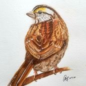 My project in Naturalist Bird Illustration with Watercolors course. Watercolor Painting project by andrea.ang89 - 09.03.2020
