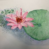 Duas Flores Brasileiras . Un projet de Illustration botanique de Ruth Nogueira - 04.09.2020