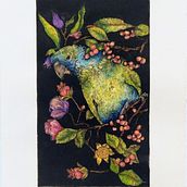 Loro Real prints. Intaglio, Aquatint and watercolor process. . Botanical Illustration, and Traditional illustration project by Catalina Peña - 09.04.2020