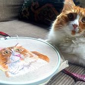 Mi primer Needle painting gatuno. Embroider, Sewing, and DIY project by Vanesa Quintanar Olguin - 09.05.2020