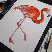 Mi Proyecto del curso: Ilustración naturalista de aves con acuarela Ein Projekt aus dem Bereich Skizzenentwurf, Zeichnung, Traditionelle Illustration, Malerei und Aquarellmalerei von Julio Leonel Valle Lucero - 06.09.2020