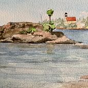 Presenting myself . Watercolor Painting project by Susan McGinnis Hardie - 08.12.2020
