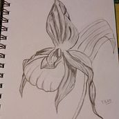 Mi Proyecto del curso: Cuadernos de dibujo: encuentra un lenguaje propio. Un proyecto de Dibujo a lápiz de Patricia Brandi - 08.09.2020