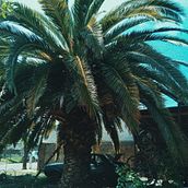 Proyecto Final -. Un progetto di Fotografia analogica di mariajoaquinaortz - 24.10.2020