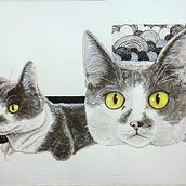 Projeto Gato. Un proyecto de Dibujo de andreziculas - 11.09.2020