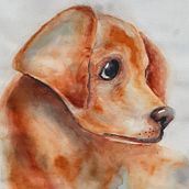  La perrita Alma.. Watercolor Painting project by Gloria Bass - 09.12.2020