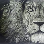 Lion graphite. Drawing, Fine Arts, Pencil Drawing, Portrait Drawing, and Realistic Drawing project by Sybel Oz - 09.12.2020