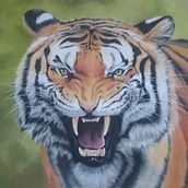 Dibujo de animales: pastel y lápices de colores. Un projet de Beaux Arts, Dessin, Dessin réaliste , et Peinture de Ana Pagán Vicente - 12.09.2020