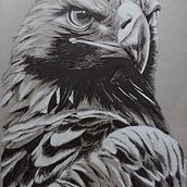 Animales en tinta. Un projet de Beaux Arts, Dessin, Dessin artistique, Dessin réaliste, Illustration traditionnelle, Illustration à l'encre , et Peinture de Ana Pagán Vicente - 12.09.2020