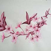 Mi Proyecto del curso: Ilustración botánica con acuarela. Botanical Illustration project by Natali Silva Soto - 09.13.2020
