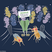 Cover proposal for the journal Cell - Kanellopoulos et al., 2020 . Digital Illustration project by Vittoria Mariano - 03.12.2020