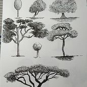 Mi Proyecto del curso: Dibujo para principiantes nivel -1. Drawing project by joan piquer montón - 09.13.2020