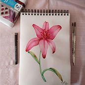 Mi Proyecto del curso: Ilustración botánica con acuarela. Un progetto di Illustrazione tradizionale di Natali Barreda Vargas - 14.09.2020