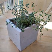 My concrete planters in cardboard molds. Furniture Design, and Making project by dmtr_mrshn - 09.14.2020