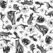 Textil Fauna de Colombia para Talismanario. Traditional illustration project by LiNa VeLez - 09.14.2018