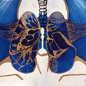 Respiro. Un progetto di Pittura ad acquerello di gcuadrada - 15.09.2020