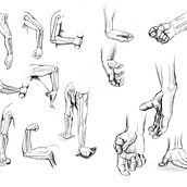 Recopilación de anatomía humana Jacobo. Traditional illustration project by Jacobo Ospina Rojas - 09.17.2020