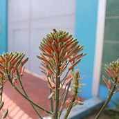Mis primeras fotos con la T7I EOS 800D. Un progetto di Cinema, video e TV di Diego Elias - 17.09.2020