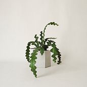 THE POT. Arts, Crafts, Decoration, Design, Product Design, DIY & Interior Decoration project by Cynthia Lisner Moreno - 09.17.2020