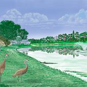 My project in Naturalist Bird Illustration with Watercolors course. Digital Painting project by bsimmerok - 09.17.2020