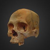 Mi Proyecto del curso: Introducción a la fotogrametría 3D Ein Projekt aus dem Bereich Bildung von pollopithecus - 18.09.2020