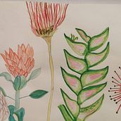 Mi Proyecto del curso: Técnicas de ilustración para desbloquear tu creatividad. Drawing project by María Angeles Escobar - 01.21.2021