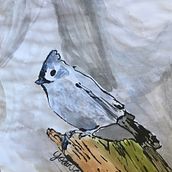 My project in From Beginner to Superillustrator course. Un projet de Illustration à l'encre , et Aquarelle de Elad Ochayon - 09.10.2020