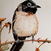 My project in Naturalist Bird Illustration with Watercolors course. Watercolor Painting project by anisacio - 09.21.2020
