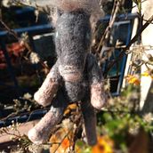 Mi Proyecto del curso Needle felting: mi No-Unicornio. Character Design project by Valeria Lagos Terrizzano - 11.25.2020